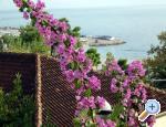 Apartmani Juri�i� apartments Croatia