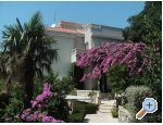 Apartmani Sulic-Krvavica Croatia Hrvatska