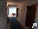 House Bilić apartments Croatia
