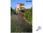 Apartmani Alena apartments Croatia