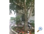 Apartmani Jurov apartments Croatia
