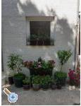 Apartments More - Frane apartments Croatia