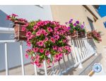 Apartmani Srsen apartments Croatia