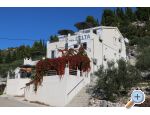 Villa Delta apartments Croatia