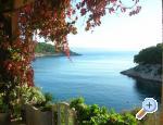 Apartmani Rogosic apartments Croatia