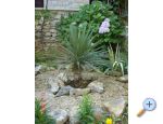 Vila Blanka Sutivan apartments Croatia