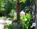 Vila Blanka Sutivan apartments Croatia
