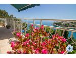 Villa PINA - Selca apartments Croatia