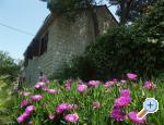 Villa Santa Lucia Croatia Hrvatska