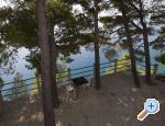 Apartmani Ružica apartments Croatia