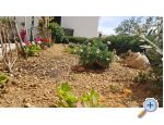 Apartmani Tomas Brela apartments Croatia