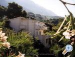Apartm�ny Vanja Croatia Hrvatska