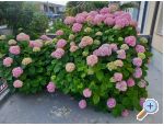 Apartmani Rosi apartments Croatia