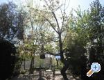 Apartmani Rosi apartments Croatia
