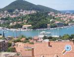 Apartman Antonio Croatia Hrvatska