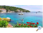 Apartments Villa Ana Molunat apartments Croatia
