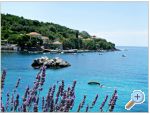 Apartments Villa Ana Molunat apartments Croatia