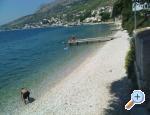 Apartmani Cihorich apartments Croatia