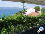 Apartmani Duĉe apartments Croatia