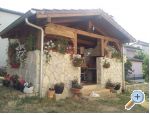 Apartments Valbandon apartments Croatia