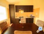 Apartments(A2+2) & Studio(A2) Rosa apartments Croatia