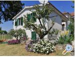 Apartm�ny Majica apartments Croatia