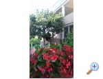 Apartmani Arzenšek apartments Croatia