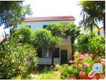 Apartmani IGOR apartments Croatia
