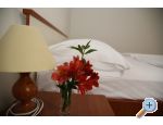 Apartmani IGOR apartments Croatia