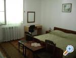 Apartments Gabbianno apartments Croatia