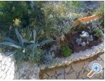 Dijana apartments apartments Croatia