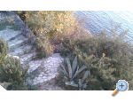 Dijana apartments apartments Croatia