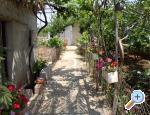 Apartman Antea apartments Croatia