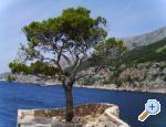 Apartmani Anja apartments Croatia
