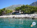 Apartmani Radiĉ apartments Croatia