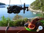 Apartment Stiniva apartments Croatia