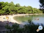 Villa Welcome apartments Croatia