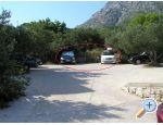 Apartments Franka apartments Croatia