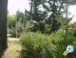 Apartment Grgin apartments Croatia