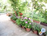 Apartaments Samanic apartments Croatia