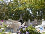 Apartmani Petra apartments Croatia