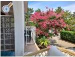 Apartments Zana apartments Croatia