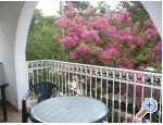 Apartments Zana apartments Croatia