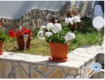 Apartments Zana apartments Croatia