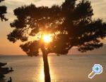 Apartman Pavlinovic 5+1 apartments Croatia