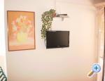 Apartman Viskoviĉ apartments Croatia