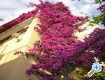 Vila Ventus apartments Croatia