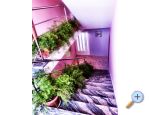 Villa Jelena apartments Croatia