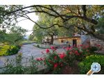 Apartmani Nekic apartments Croatia