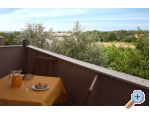 Apartman Helga Liznjan apartments Croatia